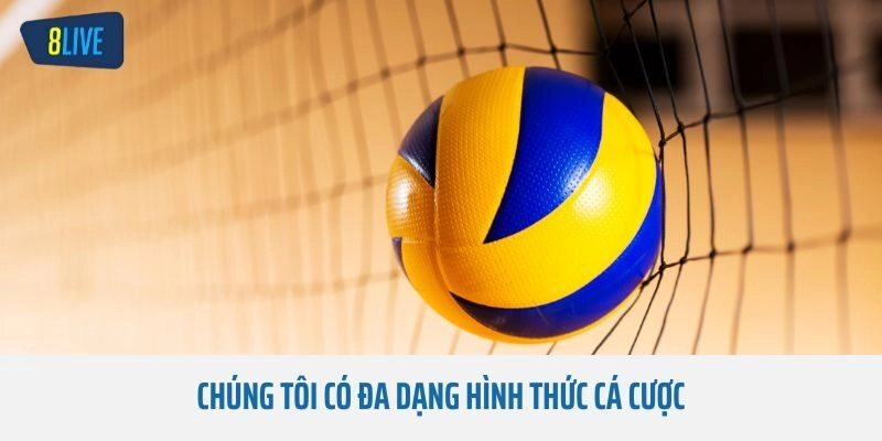 Chúng tôi có đa dạng hình thức cá cược