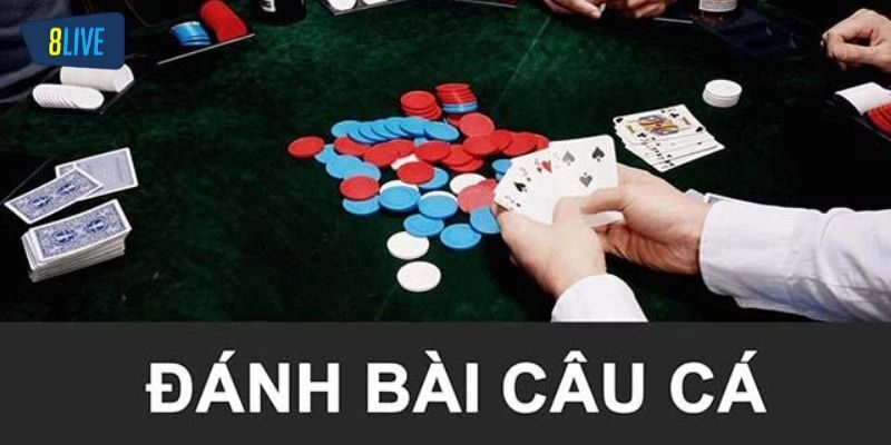 Hướng dẫn chơi bài câu cá cơ bản cho người mới