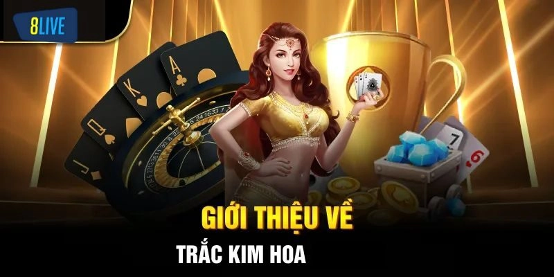 Giới thiệu tổng quan về Trác Kim Hoa